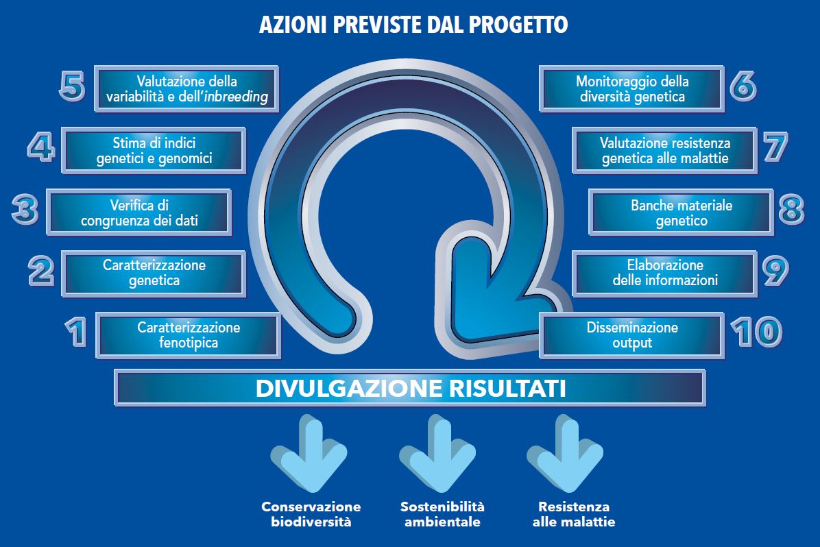 Le 10 azioni del progetto