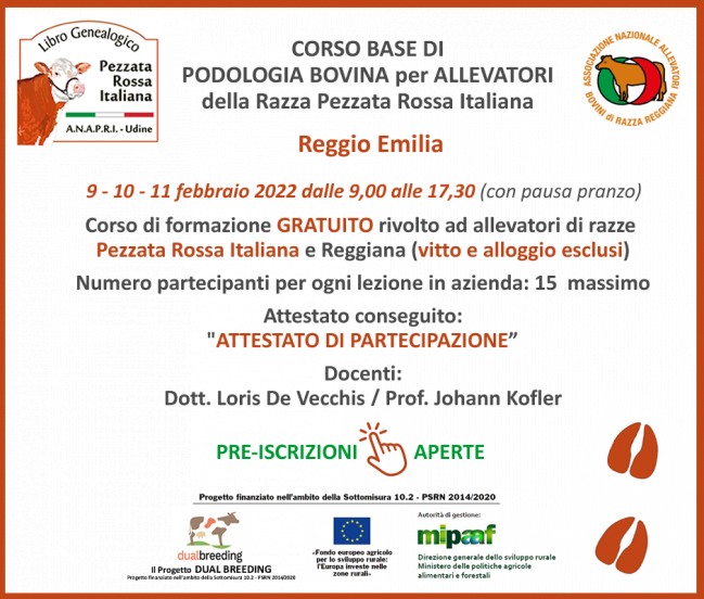 Corso base di Podologia Bovina